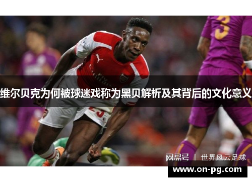 维尔贝克为何被球迷戏称为黑贝解析及其背后的文化意义