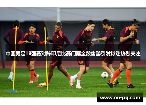 中国男足18强赛对阵印尼比赛门票全数售罄引发球迷热烈关注